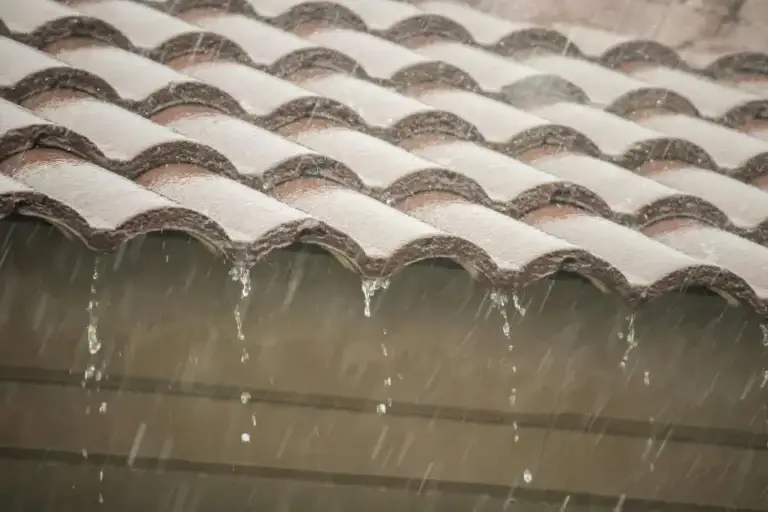 pluie qui tomb sur des tuiles