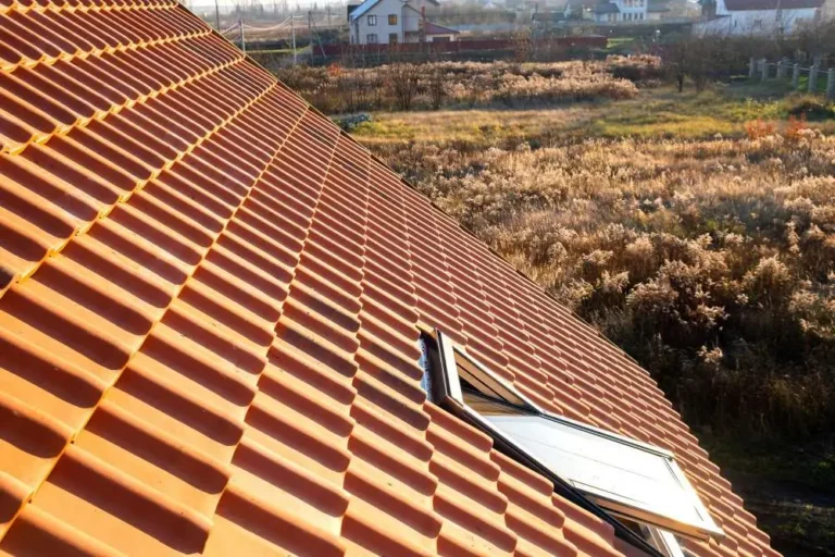pente de toit en tuile avec velux ouvert